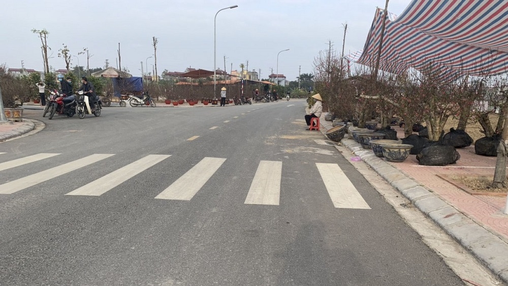 Xuân này con không về….
