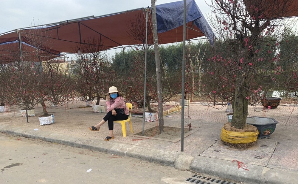 Xuân này con không về….