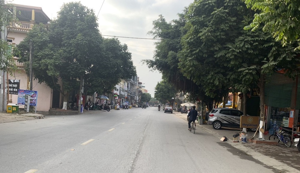 Xuân này con không về….