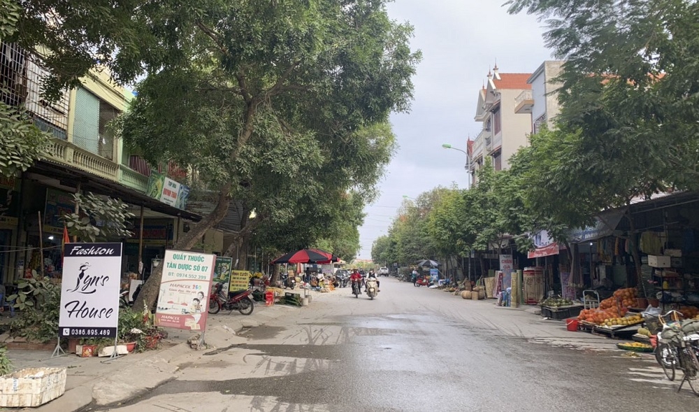 Xuân này con không về….