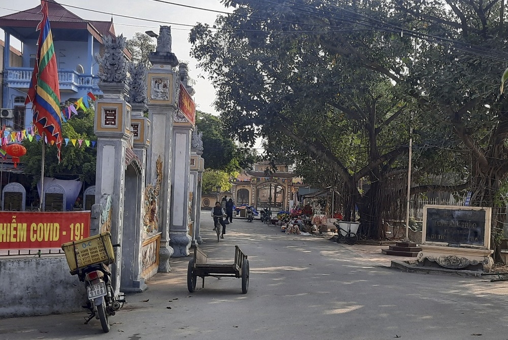 Xuân này con không về….