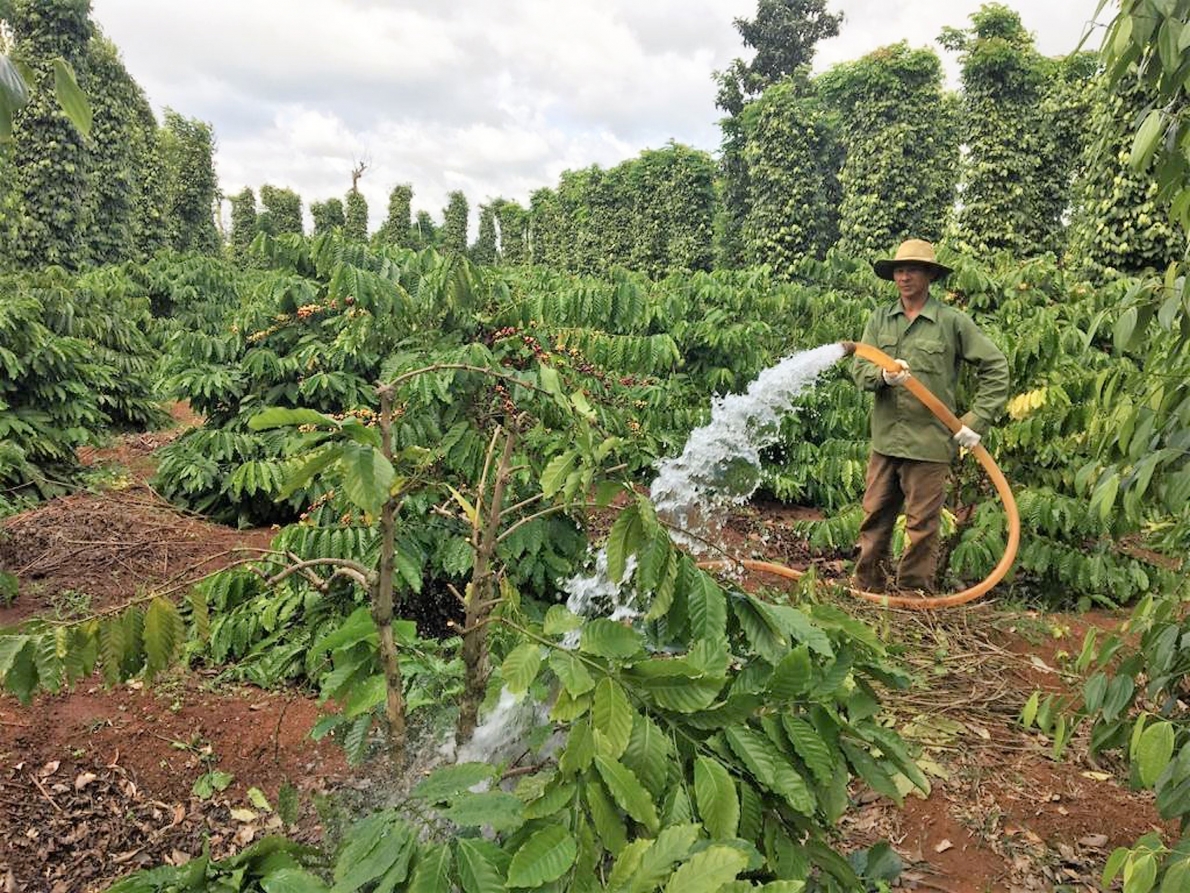 Nestlé Việt Nam hỗ trợ cộng đồng sử dụng nước một cách bền vững