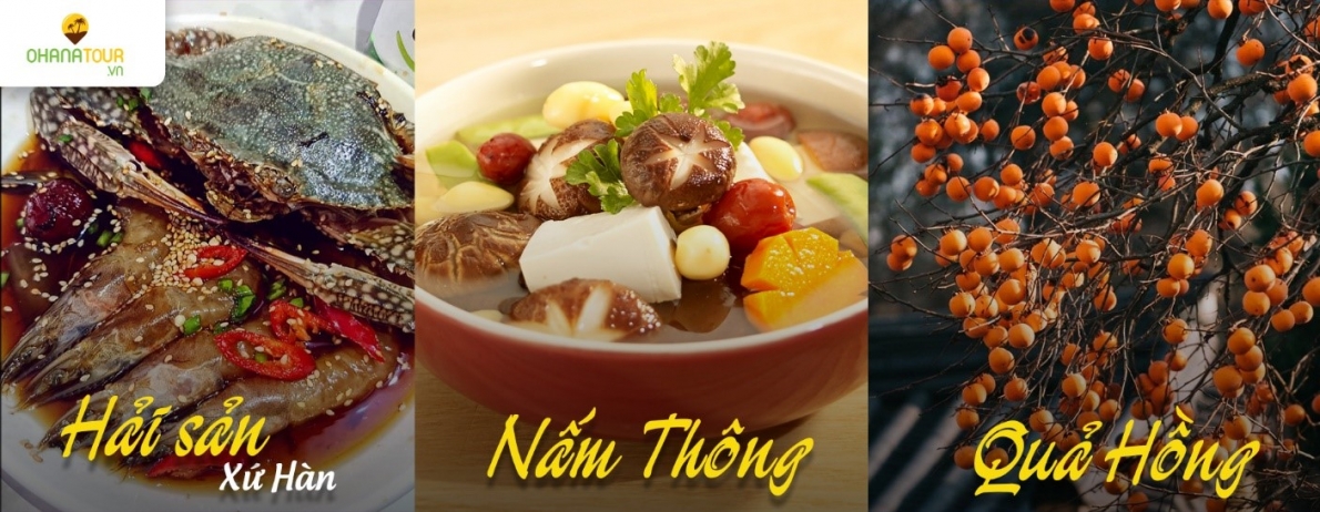 Chùm tour du lịch 