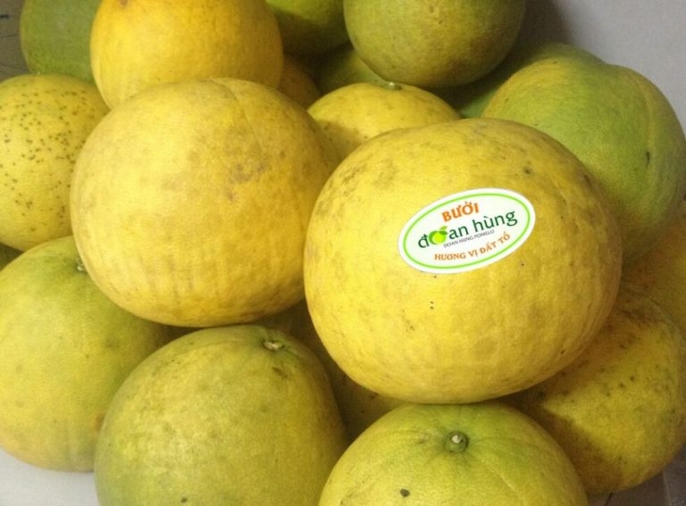 Những đặc sản khi đi du lịch Phú Thọ nhất định phải thử một lần