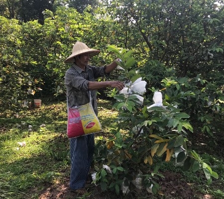 Làm giàu từ mô hình kinh tế tổng hợp