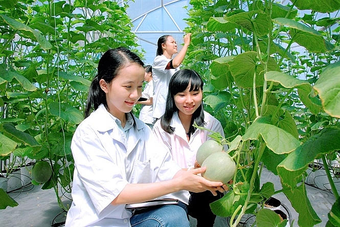 Đi tìm lời giải cho 