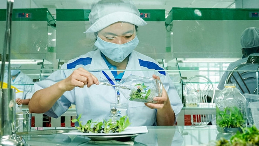 Đi tìm lời giải cho 