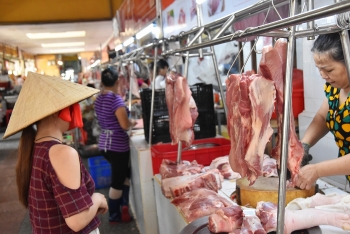 Giá thịt lợn hơi có xu hướng tăng nhẹ trở lại