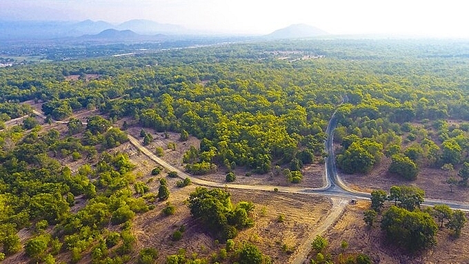 Công ty Cổ phần Rạng Đông bị phạt gần 600 triệu đồng do vướng nhiều sai phạm tại dự án rừng dầu Hồng Liêm