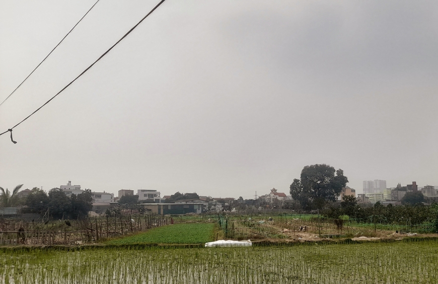 Khuôn viên nhà ở, nhà xưởng quy mô lớn chạy dài ven ruộng trồng hoa màu.