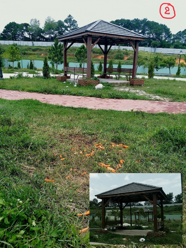 Tiếng là công viên văn hóa, giải trí được quảng bá “có những mảng không gian xanh, mở, lãng mạn cùng các loài hoa đặc trưng của xứ sở sương mù…”; thế nhưng, ngay trong những ngày Tuần lễ Du lịch Vàng 2022 vẫn vắng tanh, vắng ngắt.