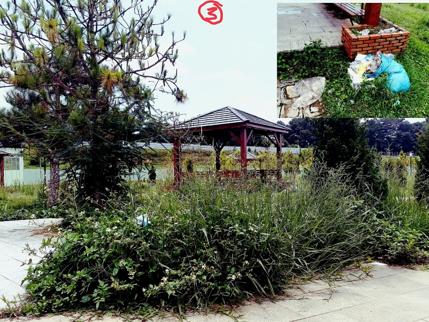 Nhà “chòi” không bóng người và đầy cỏ, rác