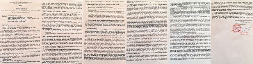Đơn khiiếu nại của ông Quí nêu ra những khuất tất của vụ án, ảnh hưởng nghiêm trọng đến quyền lợi hợp pháp của nguyên đơn.
