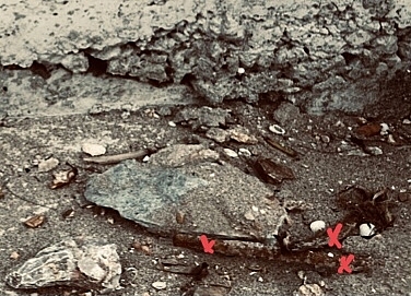 Cốt sắt thò ra (dấu X) cùng cát đá lổn nhổn và bê tông lỗ chỗ