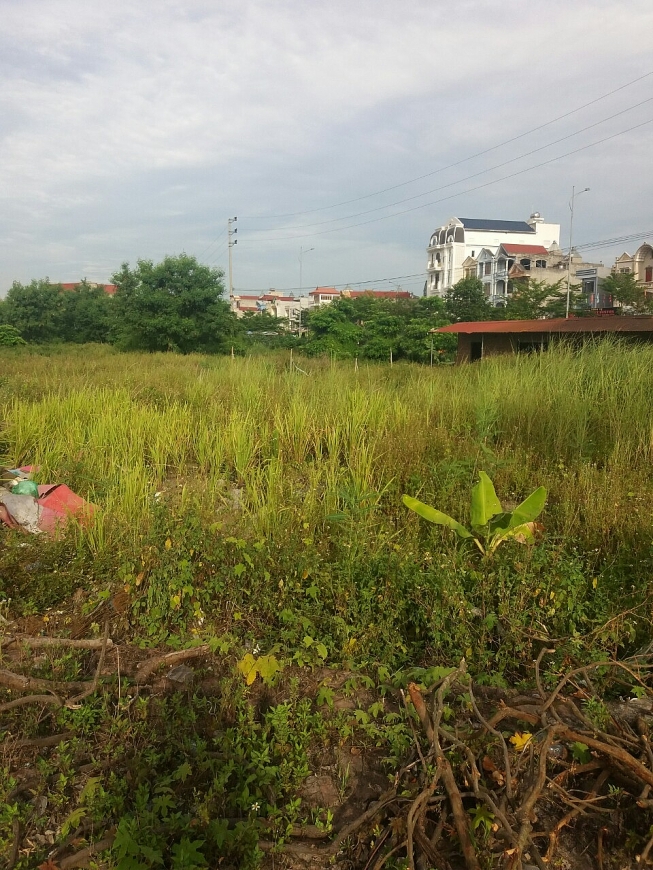 3,6 ha dự án đang “đắp chiếu” hơn 10 năm qua 3,6 ha dự án đang “đắp chiếu” hơn 10 năm qua