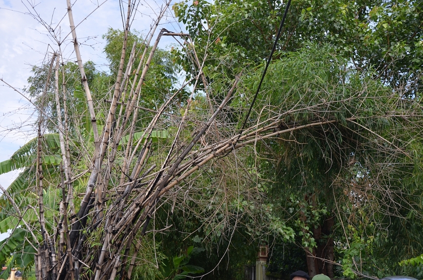 Tuyến đường điện chiếu sáng thôn 6, thôn 7, thôn 8 xã Liên Hòa được UBND xã Liên Hòa  đầu tư xây dựng từ tháng 9 -11/2019, với tổng kinh phí 3.275.702.000 đồng đến nay không sử dụng được, do không đáp ứng được yêu cầu kĩ thuật.