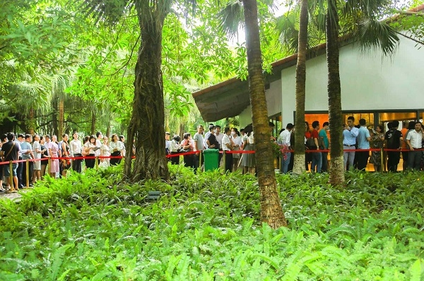 3536 eco8
