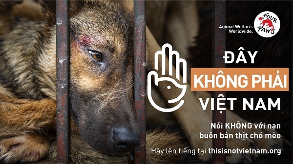 Tổ chức Phúc lợi đông vật toàn cầu: Phát động chiến dịch lớn tại Việt Nam nhằm chấm dứt nạn buôn bán thịt chó và mèo