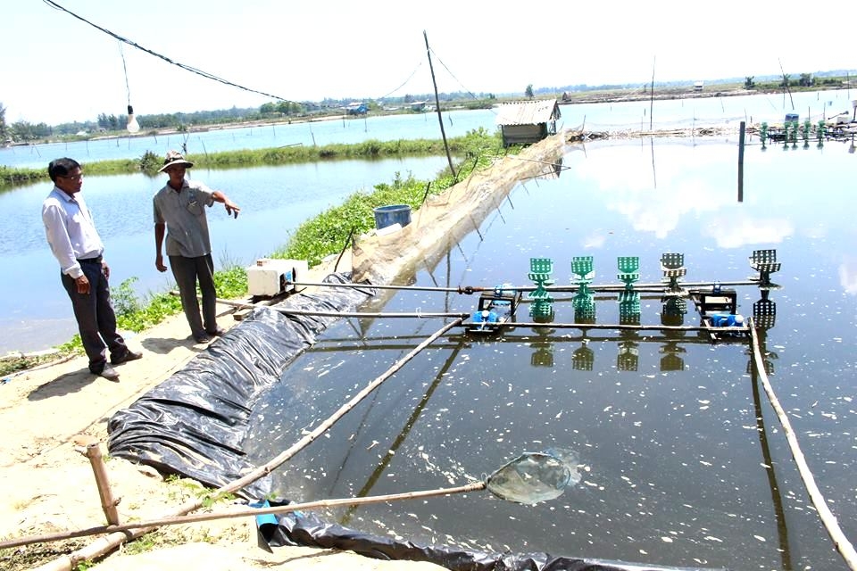 Nỗ lực của NCT Quảng Nam trong một năm đầy thử thách