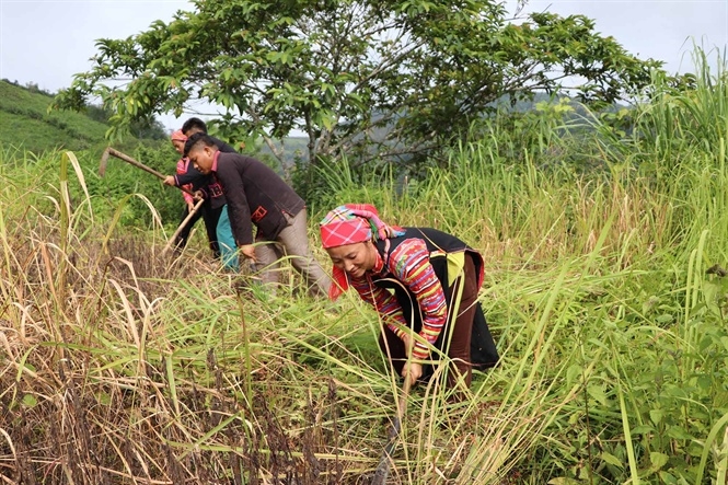 Người La Hủ ở Mường Tè