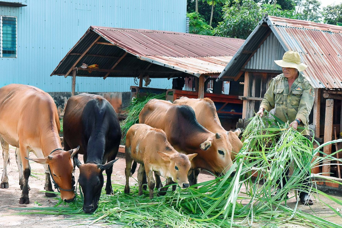 Đoàn kết, nỗ lực làm nên một nhiệm kì ấn tượng