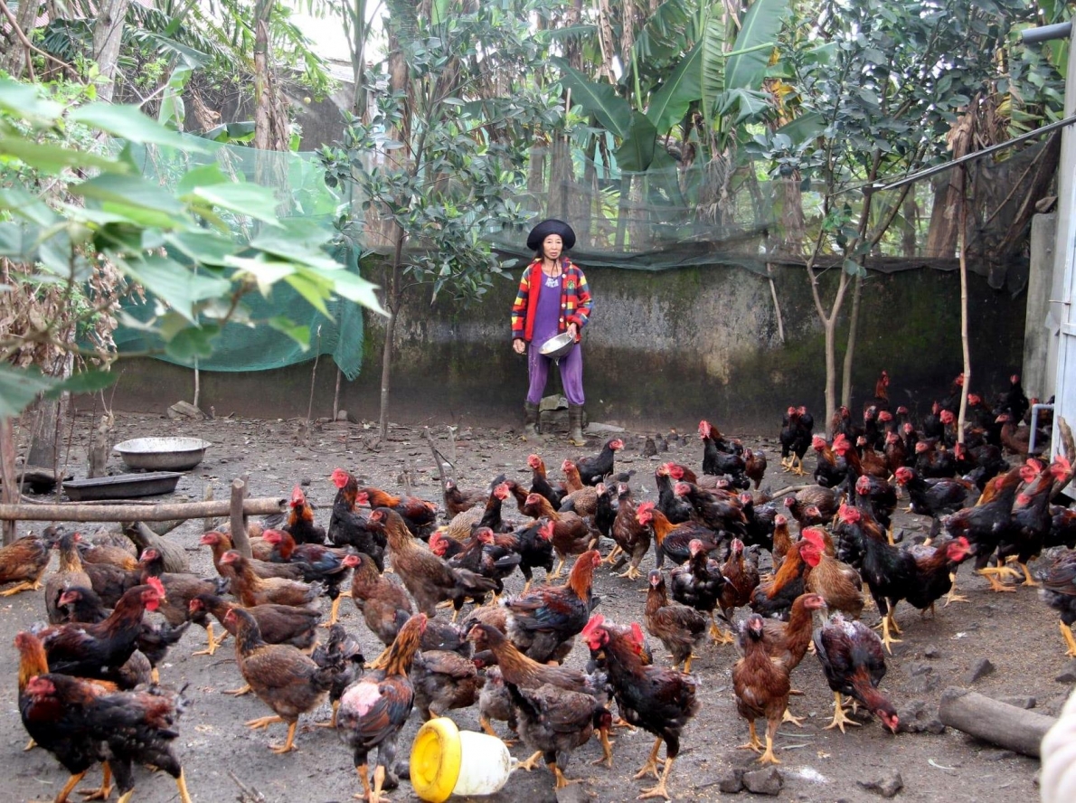 Người cao tuổi Kỳ Anh xây dựng quê hương đổi mới