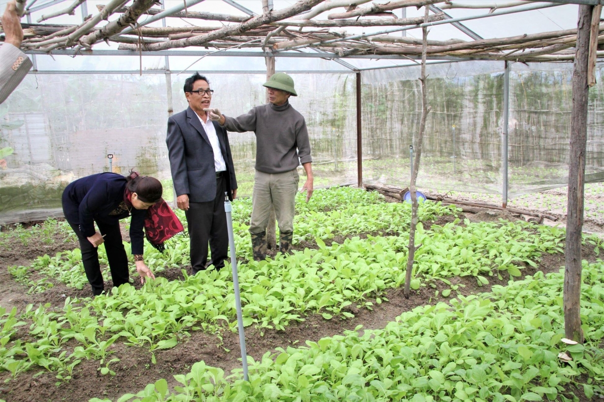 Người cao tuổi Kỳ Anh xây dựng quê hương đổi mới