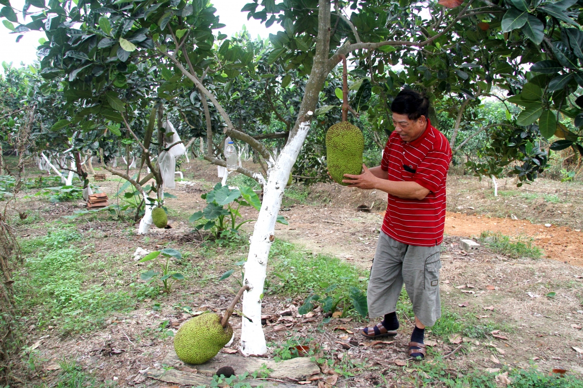 Hồi ức đáng nhớ của cựu chiến binh Nguyễn Chí Mão