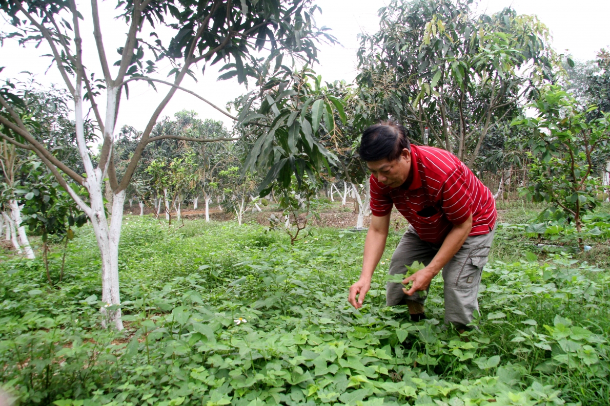 Hồi ức đáng nhớ của cựu chiến binh Nguyễn Chí Mão