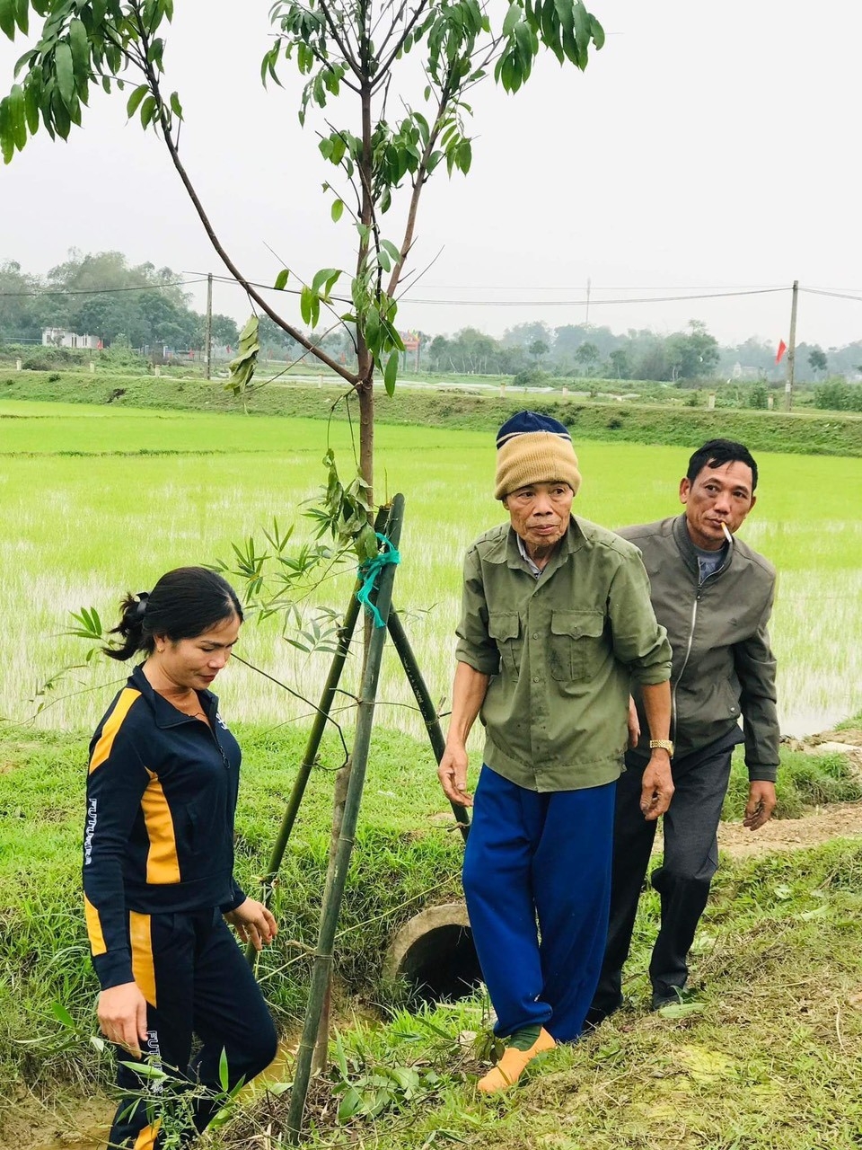 NCT huyện Đức Thọ, tỉnh Hà Tĩnh tham gia trồng và bảo vệ cây xanh cải thiện môi trường sống