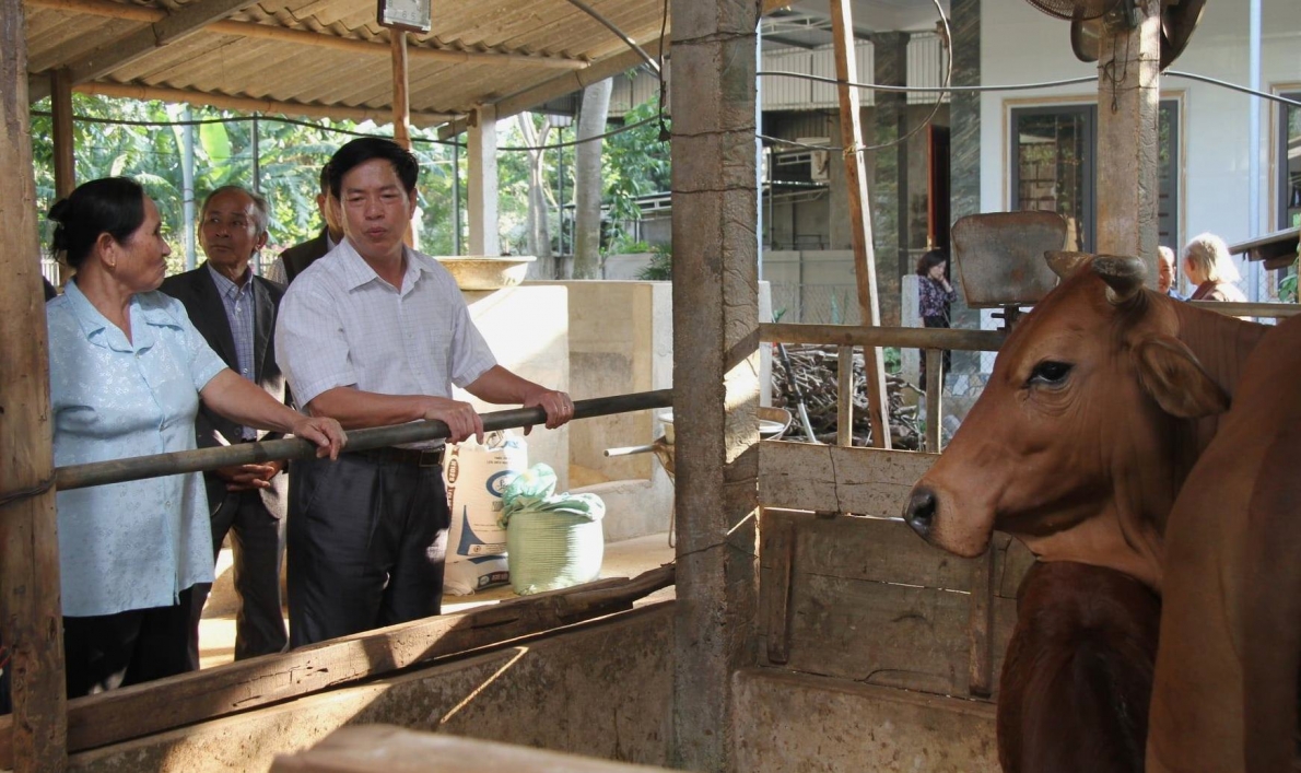 Hội viên Lương Thị Dần ở tỉnh Nghệ An dẫn khách đi thăm trang trại chăn nuôi bò sữa cho thu nhập cao