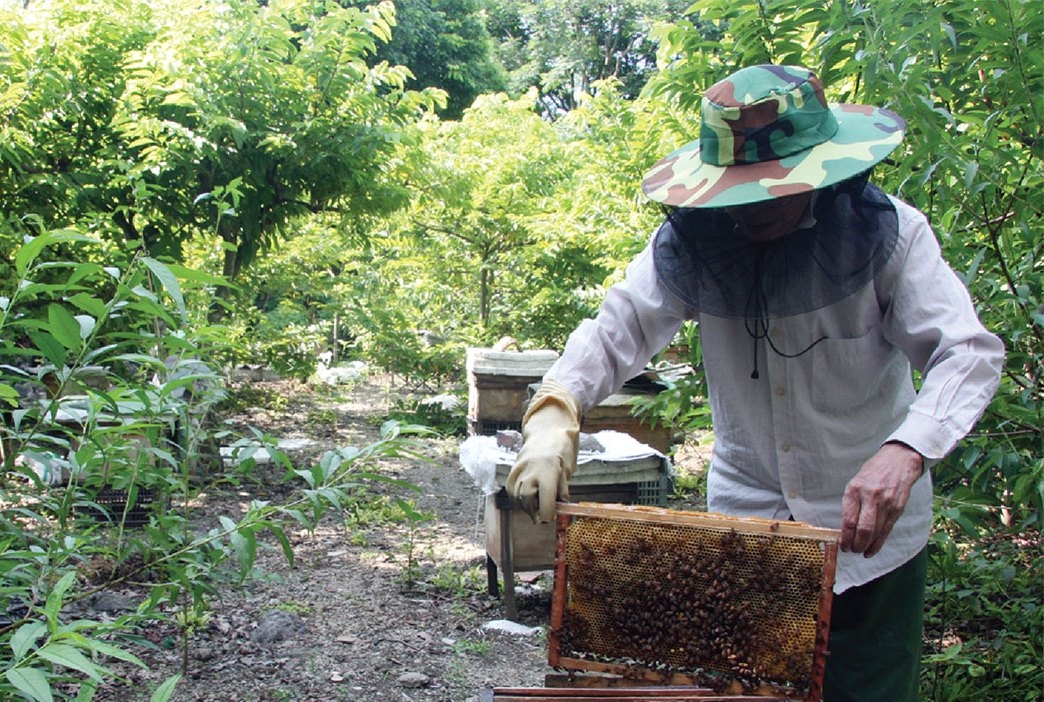 Tích cực triển khai thực hiện Chương trình Hành động Quốc gia về người cao tuổi