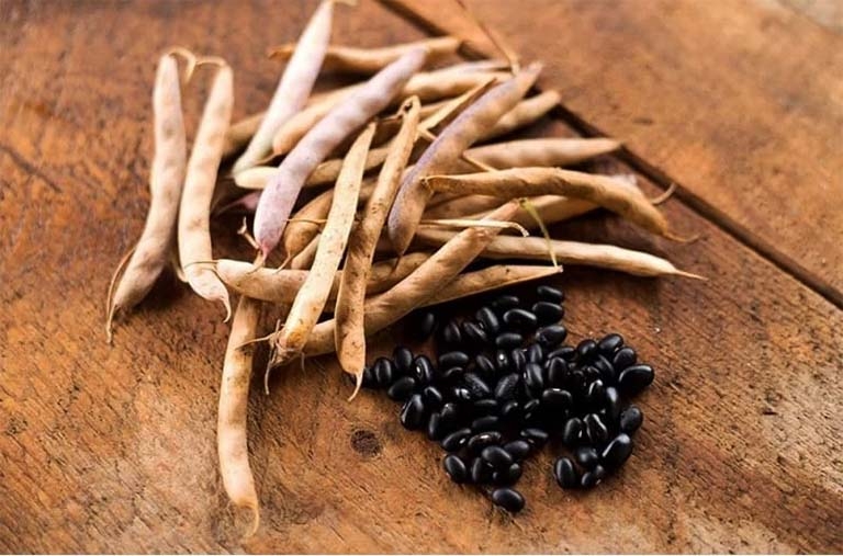 Quả và hạt đậu đen