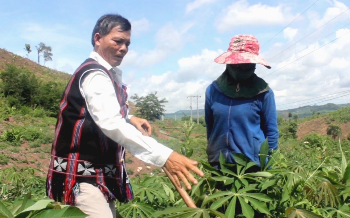 NCT tỉnh Quảng Trị tiếp tục phát huy vai trò làm kinh tế, xóa đói giảm nghèo