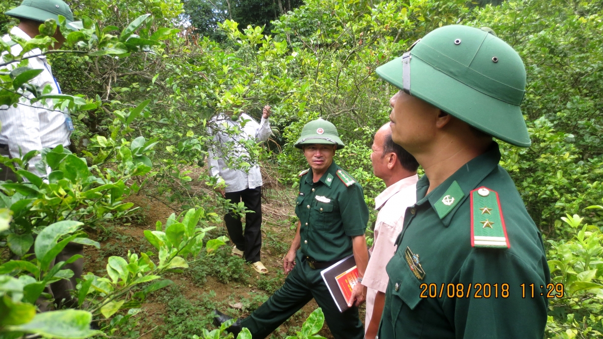 Mô hình trang trại cho thu nhập cao của NCT xã Pa Thơm, tỉnh Điện Biên