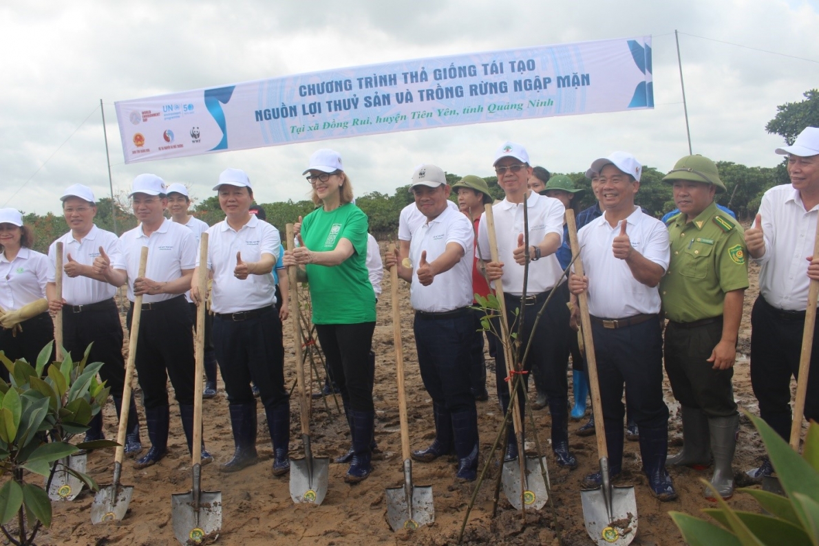 Phó Chủ tịch Hội NCT Việt Nam Phan Văn Hùng cùng các đại biểu trồng cây tại Rừng ngập mặn Đồng Rui, huyện Tiên Yên, tỉnh Quảng Ninh (2)