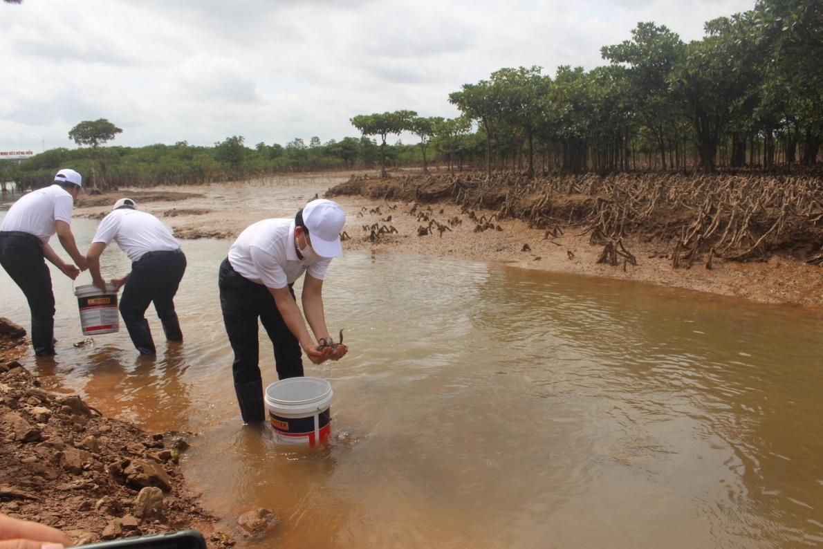 Các đại biểu thả cá giống tái tạo nguồn lợi thủy sản tại Rừng ngập mặn Đồng Rui, huyện Tiên Yên, tỉnh Quảng Ninh
