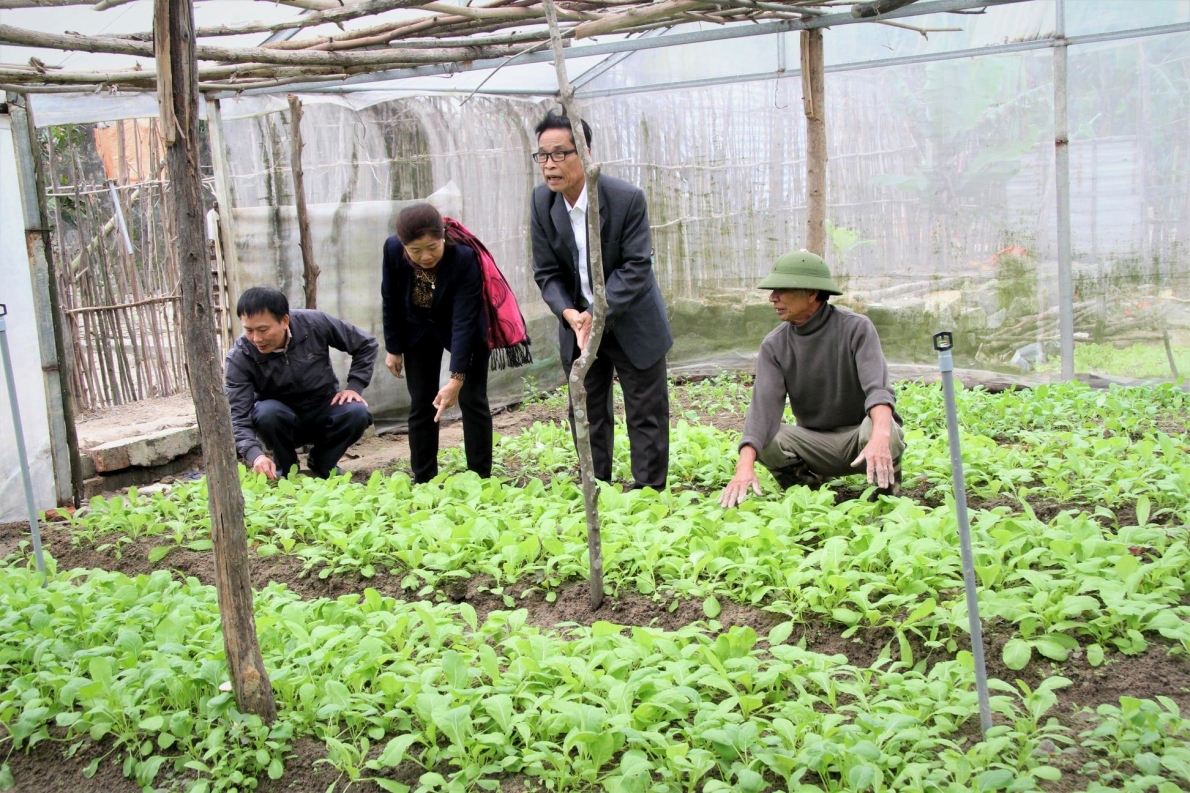 Hoạt động Hội Người cao tuổi các địa phương