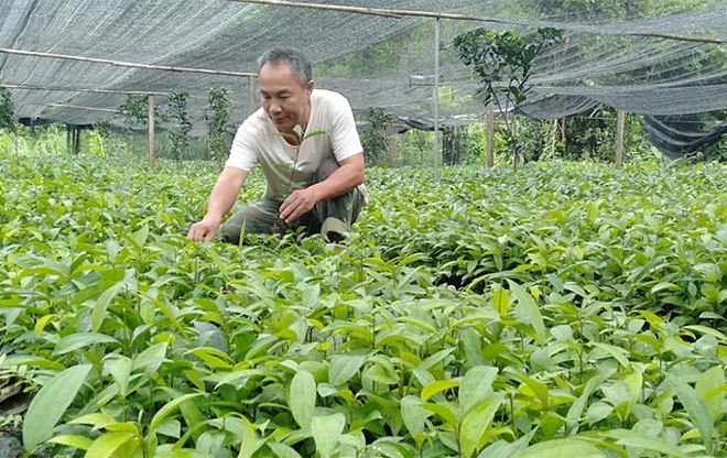 Khắp nơi chăm sóc, phát huy vai trò NCT