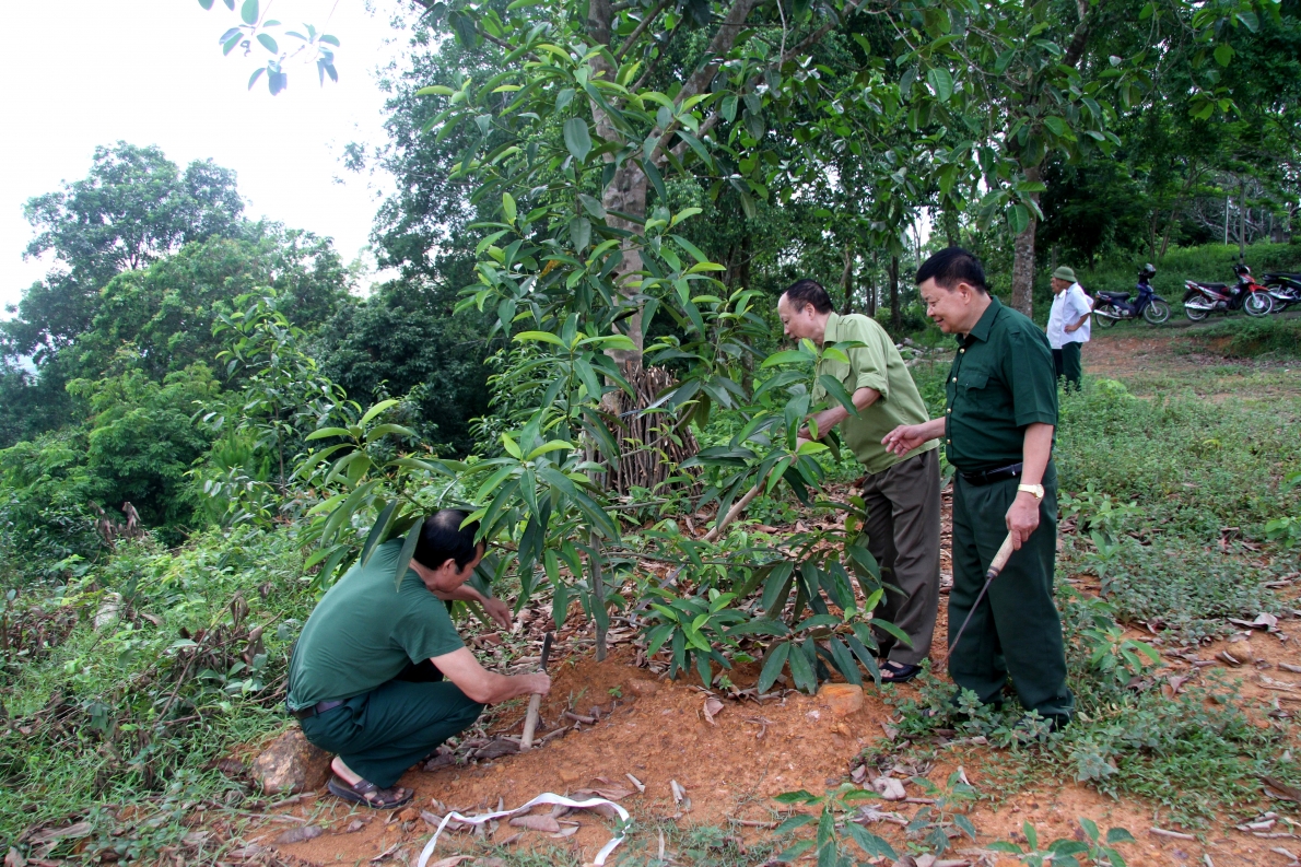 3029 ynh ki 2 cac thanh vien clb chym soc ryng cay myi tryng