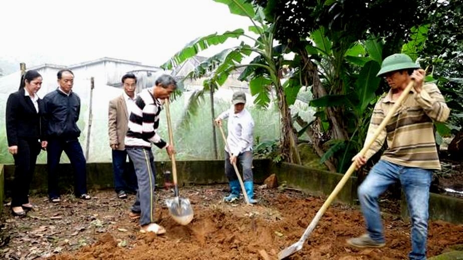 2021 nct huyyn ky anh va con chau di dyi nhyng ngoi my ryi rac trong vyyn nha vy khu nghya trang