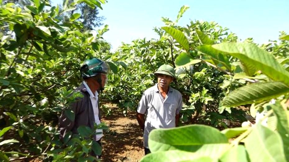 2108 mo hinh lam kinh ty giyi cya nct huyyn ky anh