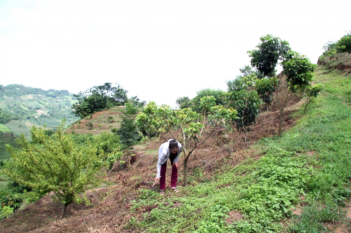 Bà chủ homstay Bản Mòn
