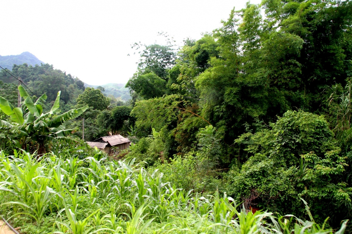 Bà chủ homstay Bản Mòn