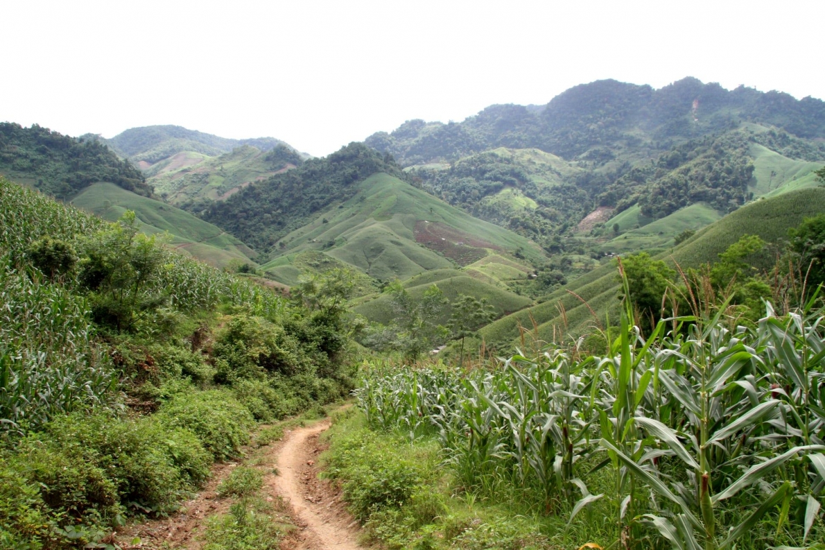 Bà chủ homstay Bản Mòn