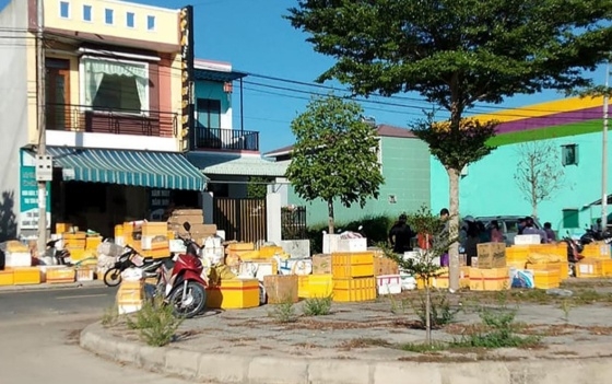 Quảng Nam, Đà Nẵng tiếp sức với TP Hồ Chí Minh