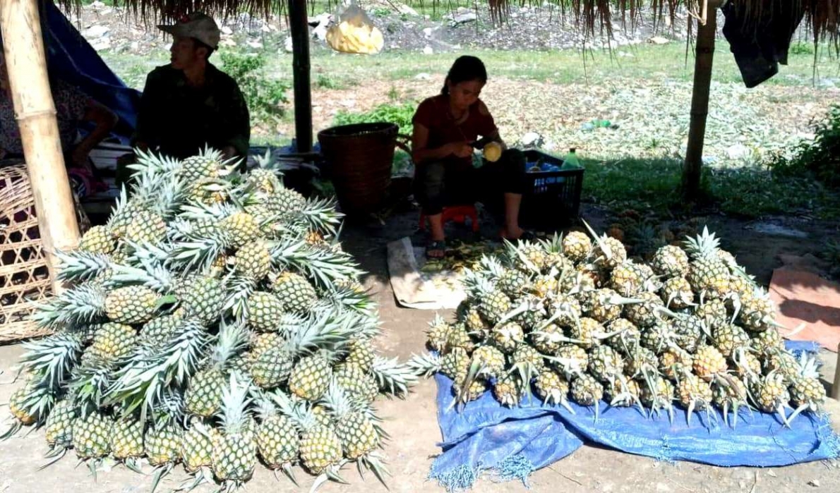 Hoạt động Hội NCT các địa phương