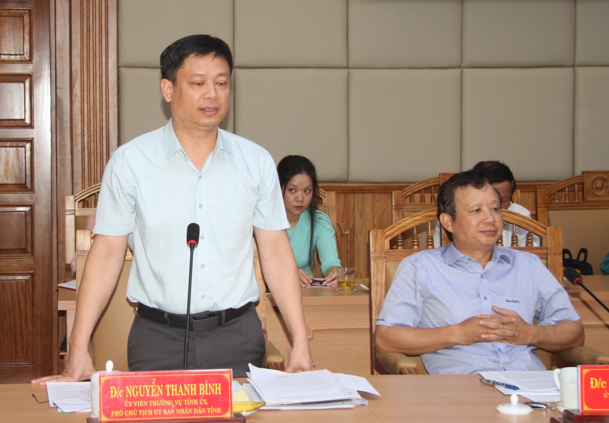 Phó Chủ tịch UBND tỉnh Thừa Thiên Huế Nguyễn Thanh Bình phát biểu tại buổi làm việc