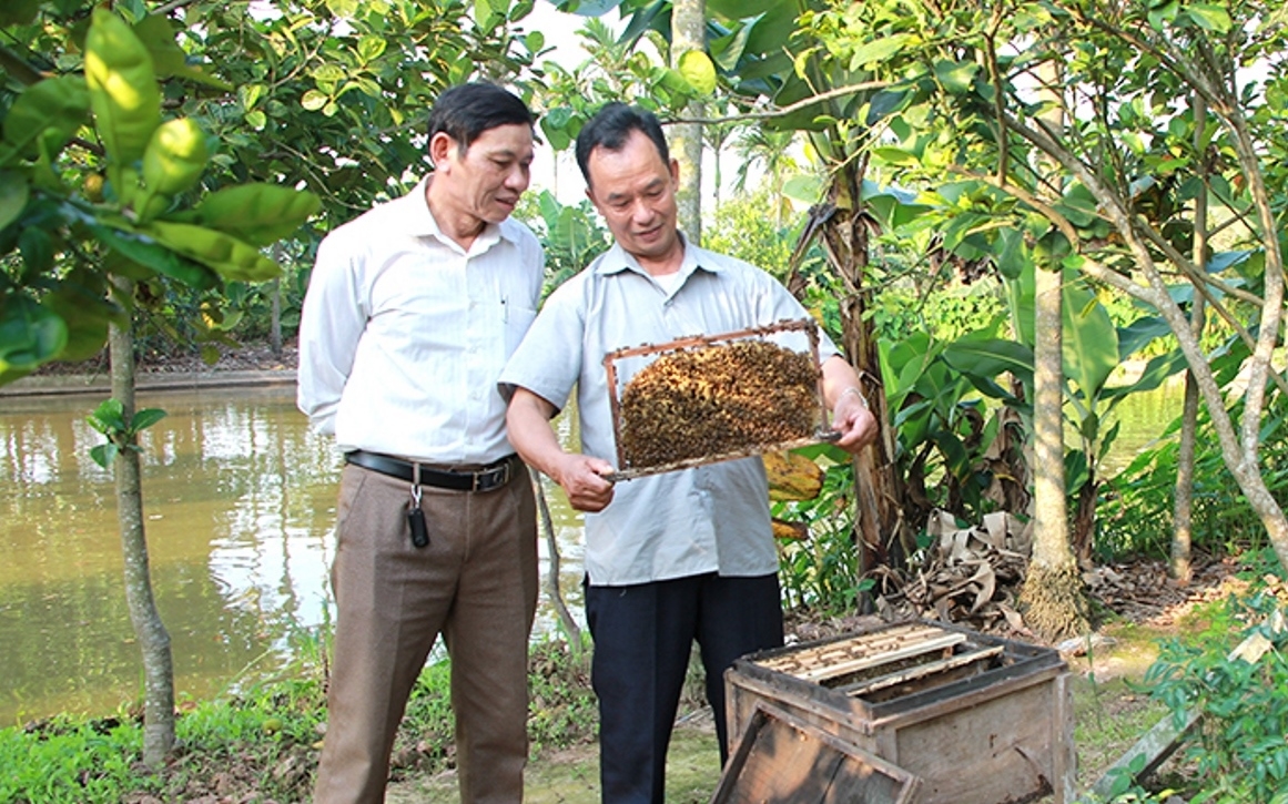 Thăm mô hình NCT tỉnh Nam Định làm kinh tế giỏi