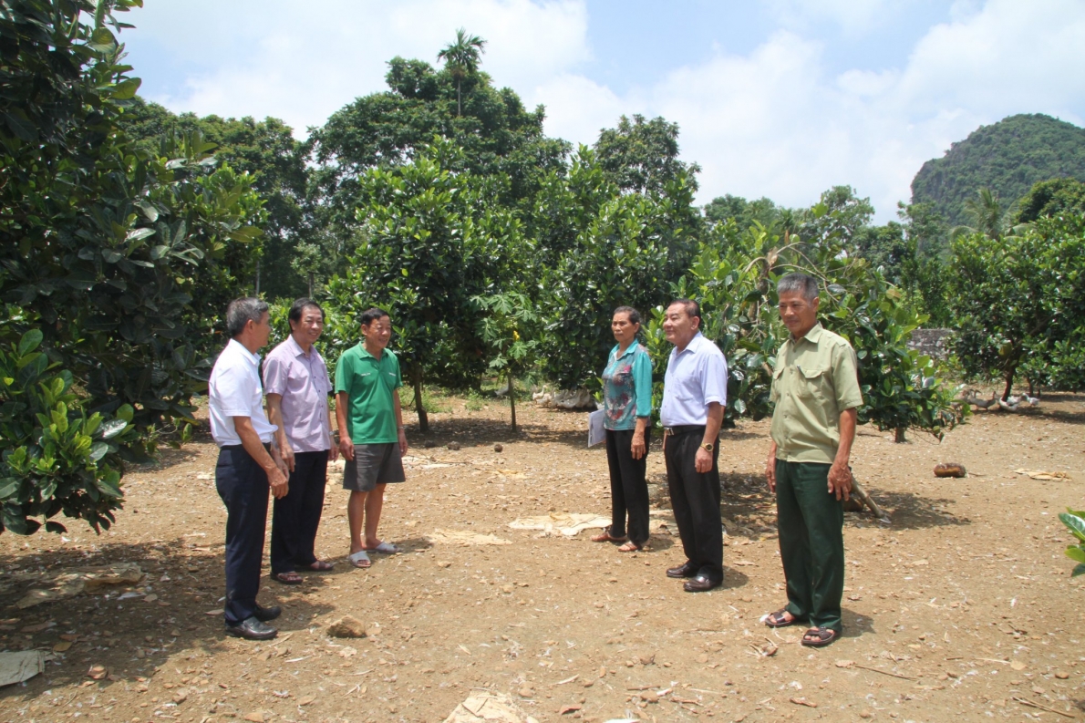 Thăm mô hình vay vốn tăng thu nhập của CLB LTHTGN thôn Sẻ, xã Cẩm Bình, huyện Cẩm Thủy, tỉnh Thanh Hóa